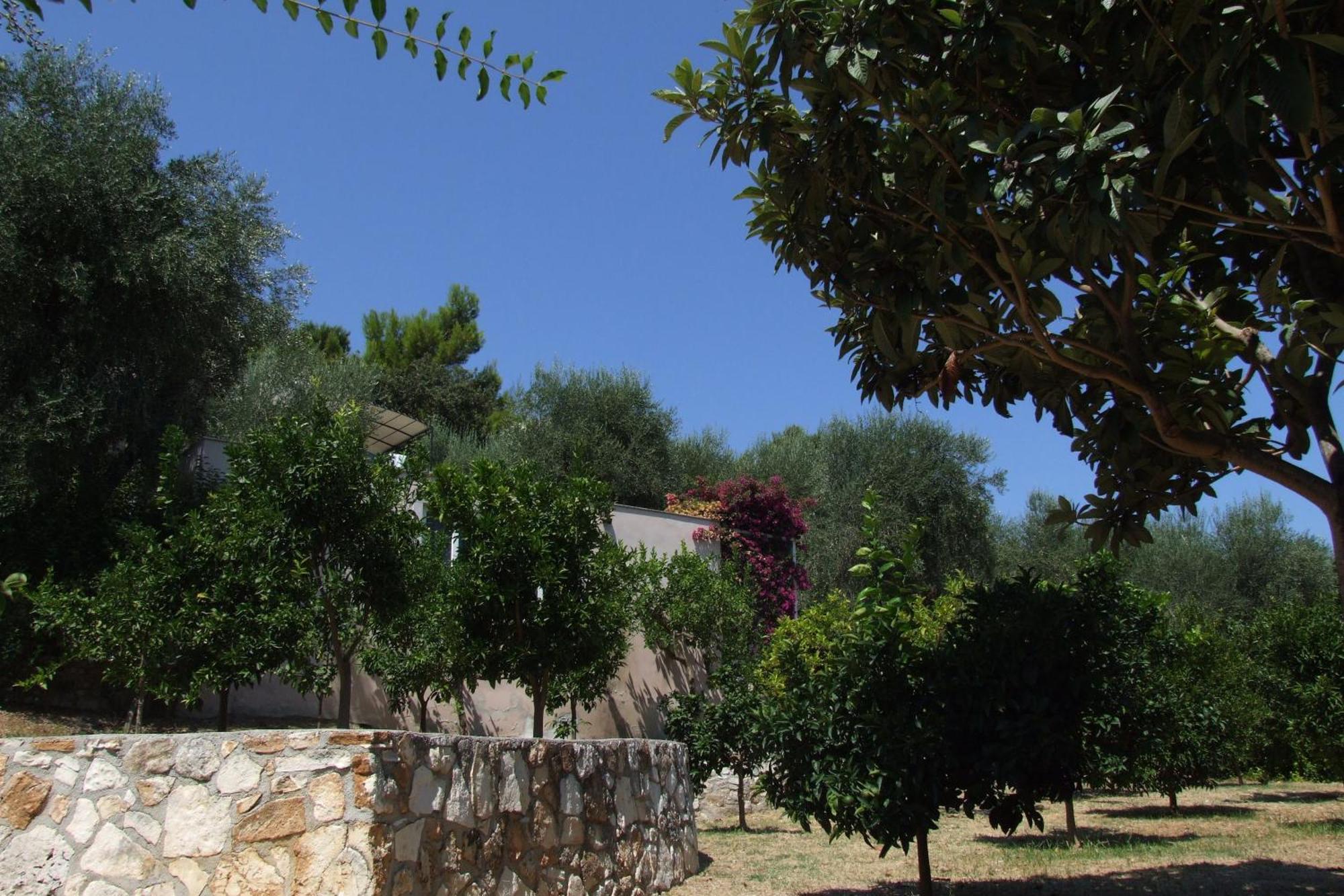 Villaggio Hotel Ripa Rodi Garganico Exterior photo